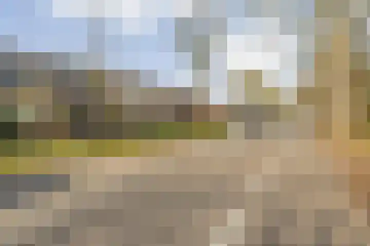 Dr. Batenburglaan 146 Breda thumbnail 9