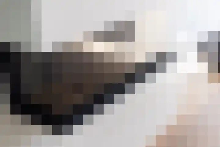 Dr. Batenburglaan 174 Breda thumbnail 11