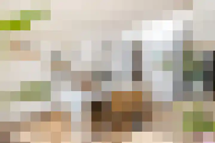 Dr. Batenburglaan 174 Breda thumbnail 15