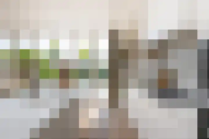 Dr. Batenburglaan 174 Breda thumbnail 17