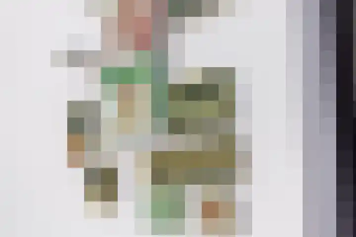 Dr. Batenburglaan 174 Breda thumbnail 20