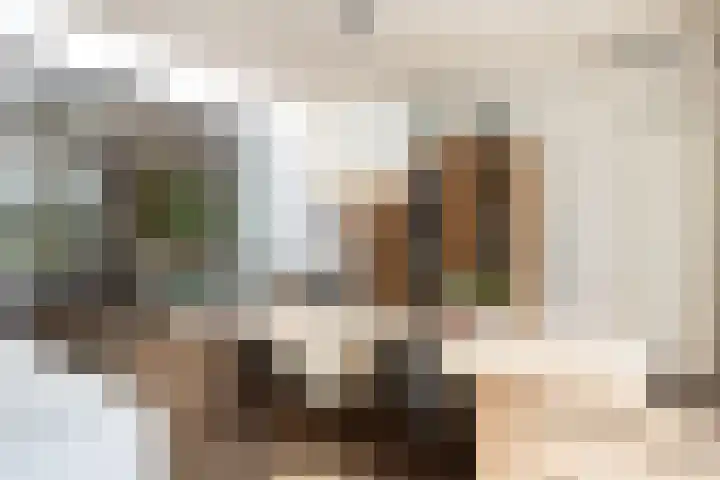 Dr. Batenburglaan 174 Breda thumbnail 21