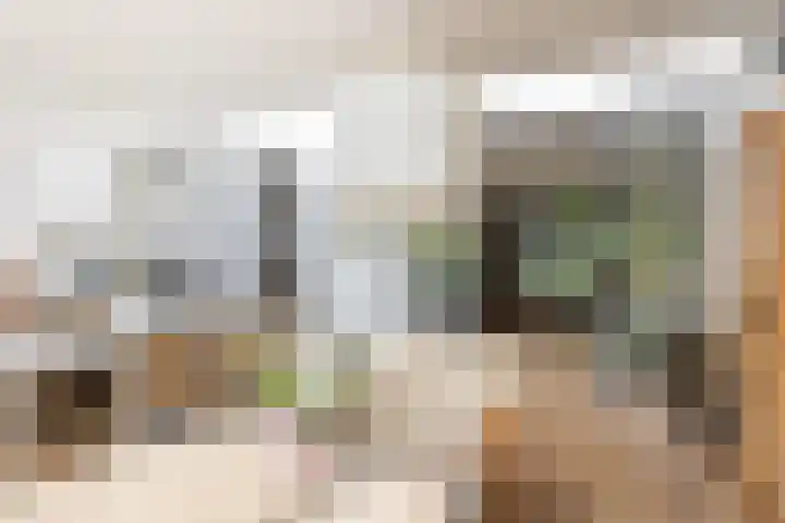 Dr. Batenburglaan 174 Breda thumbnail 23