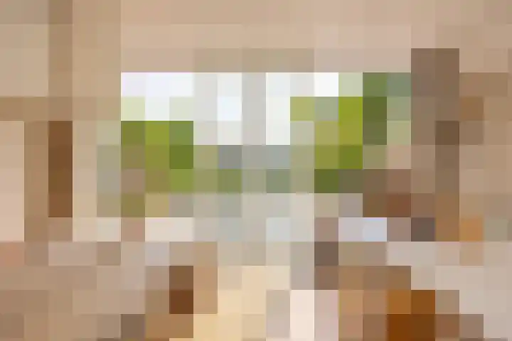 Dr. Batenburglaan 174 Breda thumbnail 25