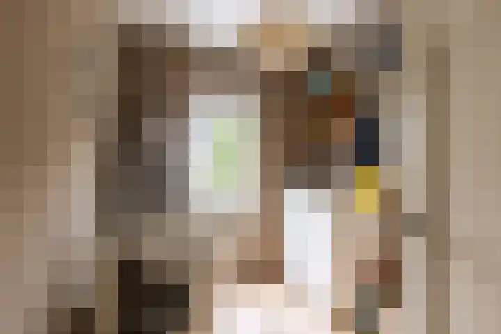 Dr. Batenburglaan 174 Breda thumbnail 34