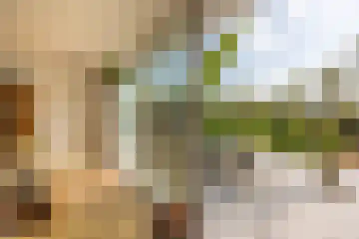 Dr. Batenburglaan 174 Breda thumbnail 41