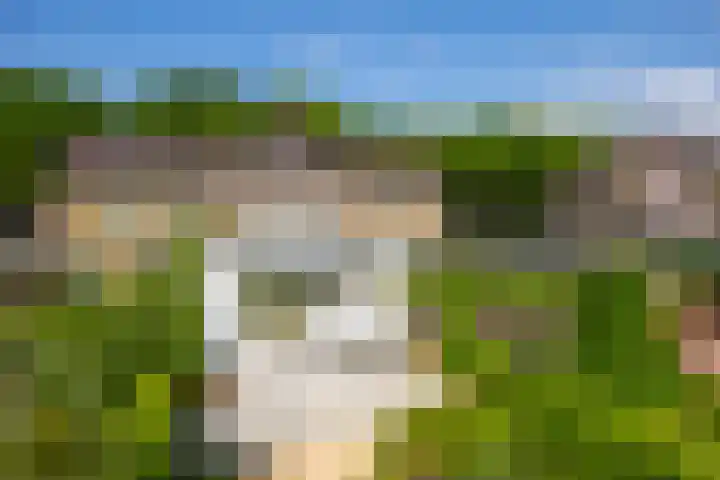 Dr. Batenburglaan 174 Breda thumbnail 43
