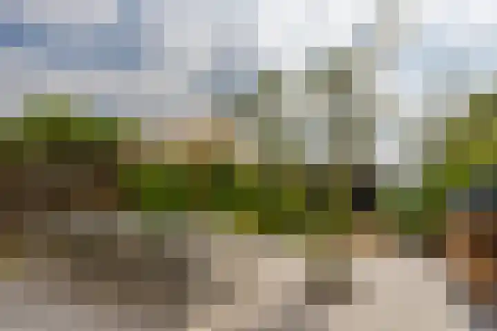 Dr. Batenburglaan 174 Breda thumbnail 46