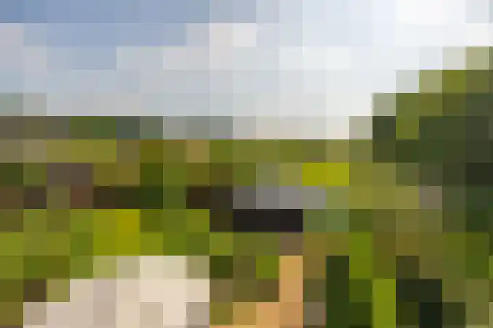Dr. Batenburglaan 174 Breda thumbnail 48