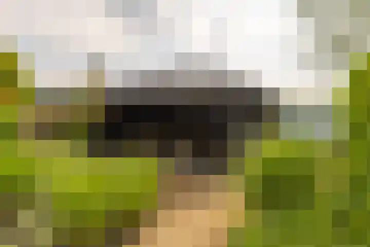 Dr. Batenburglaan 174 Breda thumbnail 50