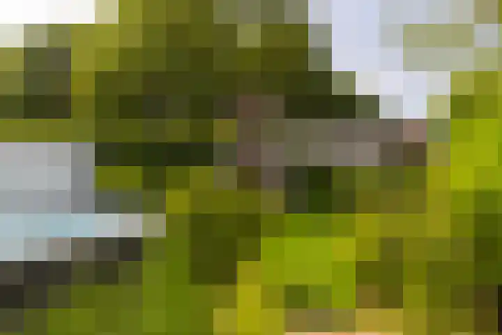 Dr. Batenburglaan 174 Breda thumbnail 52