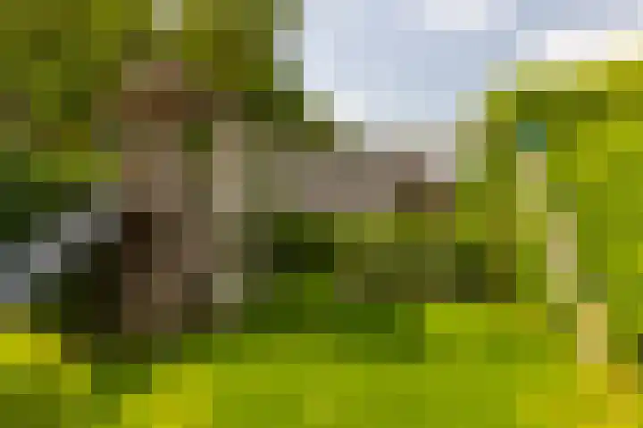 Dr. Batenburglaan 174 Breda thumbnail 54