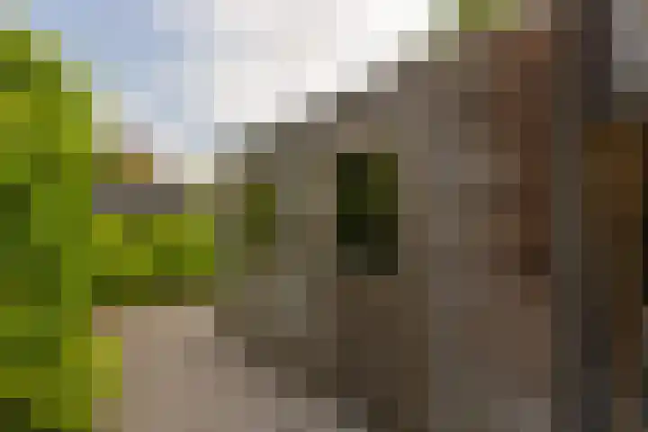 Dr. Batenburglaan 174 Breda thumbnail 56