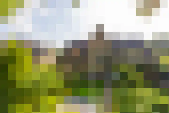 Dr. Batenburglaan 174 Breda thumbnail 6