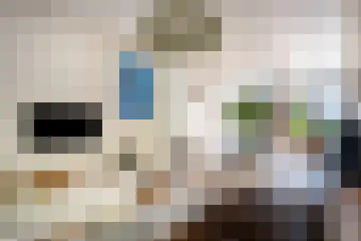 Dr. Batenburglaan 174 Breda thumbnail 8