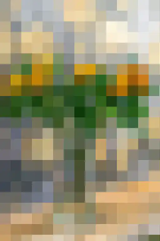 Dr. Batenburglaan 178 A Breda thumbnail 17