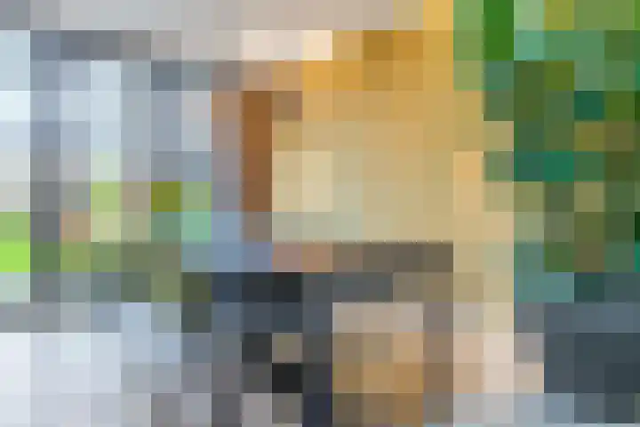 Dr. Batenburglaan 178 A Breda thumbnail 18