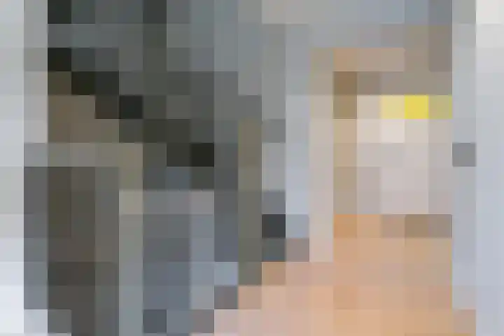 Dr. Batenburglaan 178 A Breda thumbnail 32