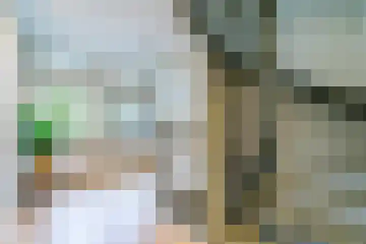 Dr. Batenburglaan 178 A Breda thumbnail 33