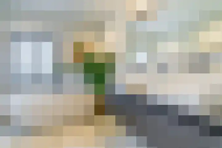 Dr. Batenburglaan 178 A Breda thumbnail 4