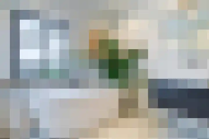 Dr. Batenburglaan 178 A Breda thumbnail 41