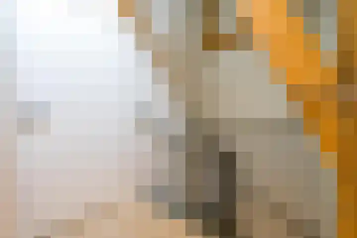 Dr. Batenburglaan 178 A Breda thumbnail 51