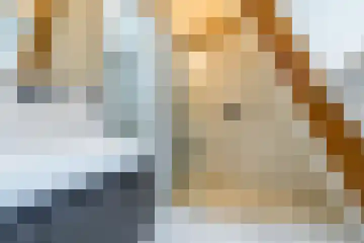 Dr. Batenburglaan 178 A Breda thumbnail 63