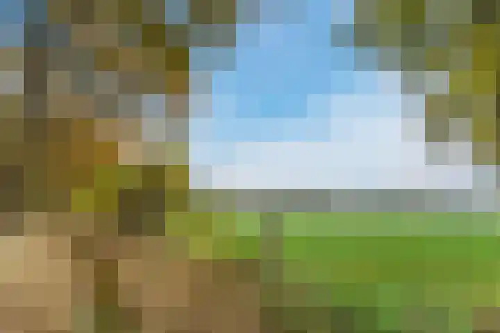 Dr. Batenburglaan 178 A Breda thumbnail 79