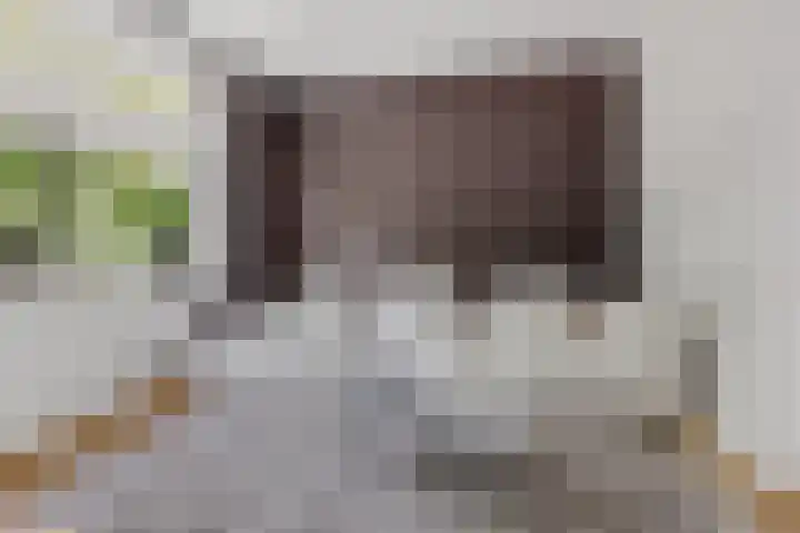Dr. Batenburglaan 180 A Breda thumbnail 14