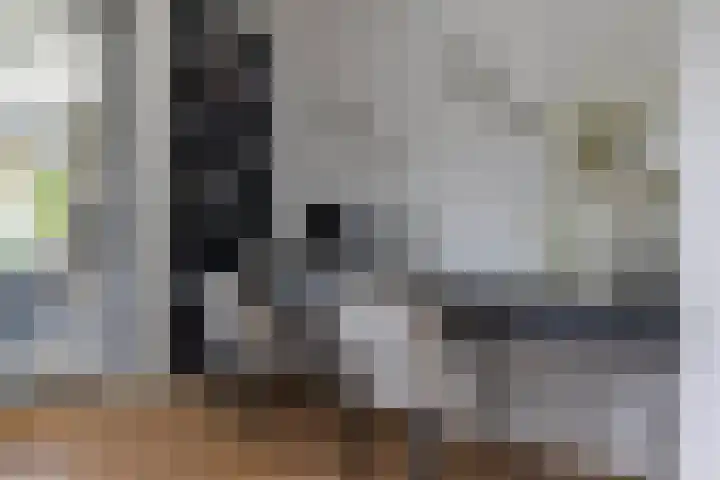 Dr. Batenburglaan 180 A Breda thumbnail 17