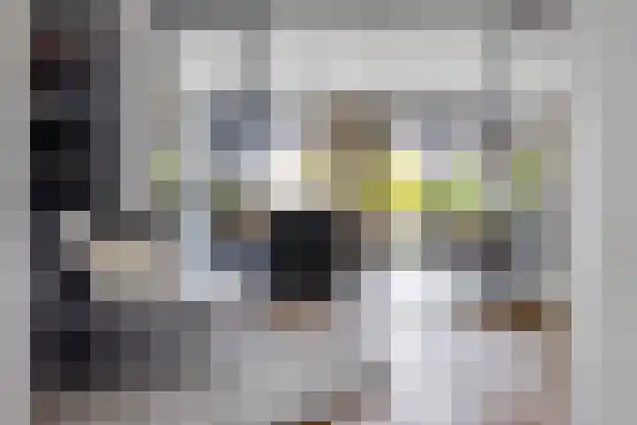 Dr. Batenburglaan 180 A Breda thumbnail 18