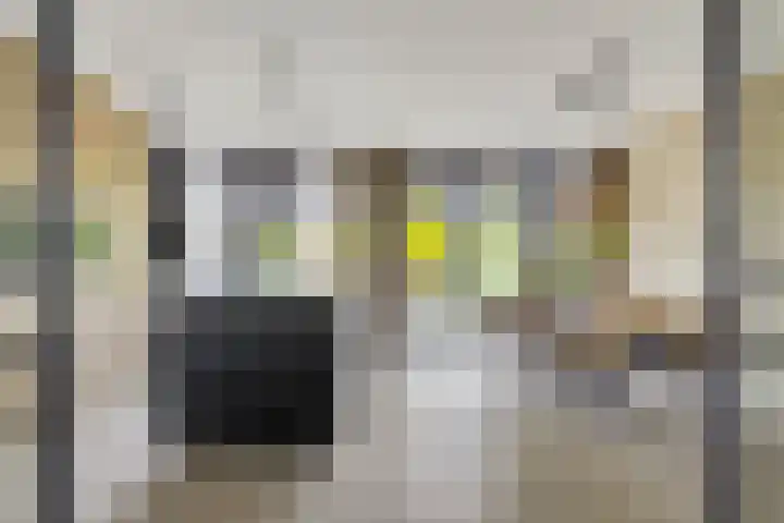 Dr. Batenburglaan 180 A Breda thumbnail 20