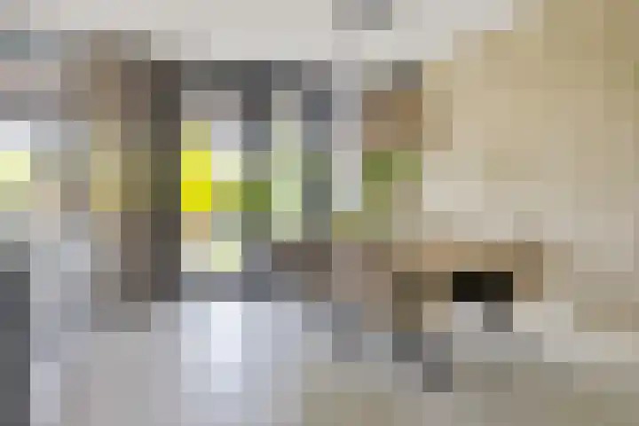 Dr. Batenburglaan 180 A Breda thumbnail 25