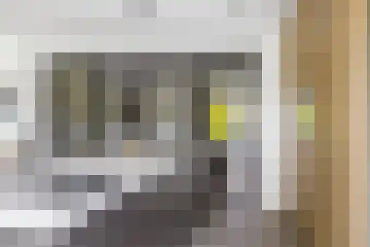 Dr. Batenburglaan 180 A Breda thumbnail 26