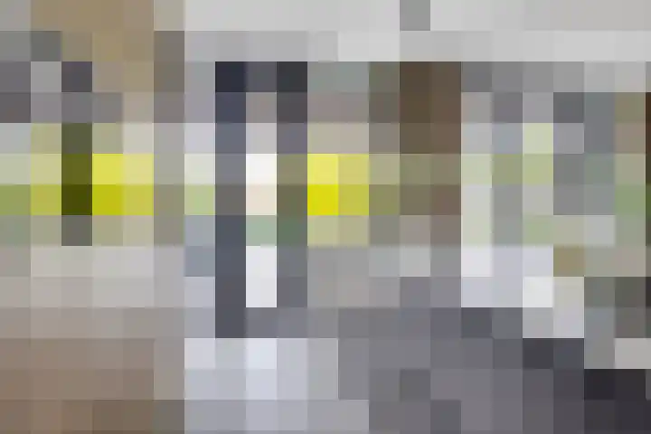 Dr. Batenburglaan 180 A Breda thumbnail 27