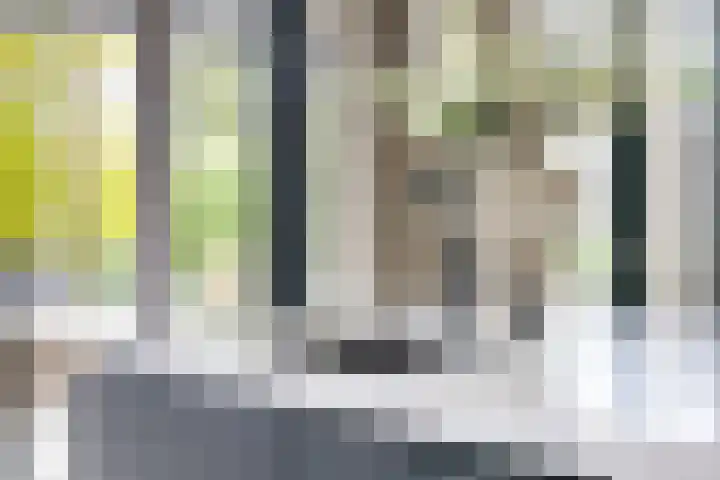 Dr. Batenburglaan 180 A Breda thumbnail 29