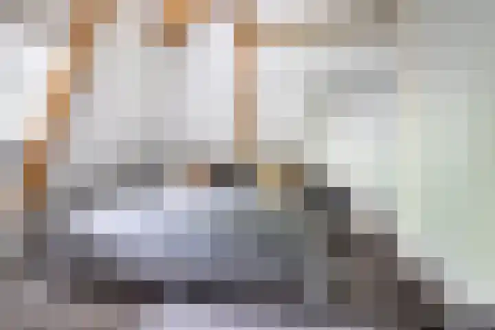 Dr. Batenburglaan 180 A Breda thumbnail 50