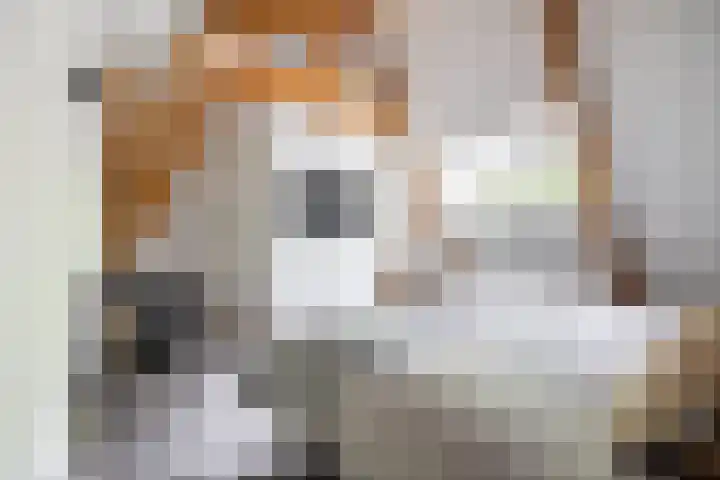 Dr. Batenburglaan 180 A Breda thumbnail 51