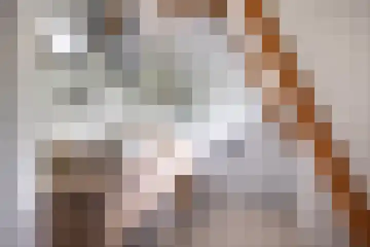 Dr. Batenburglaan 180 A Breda thumbnail 52