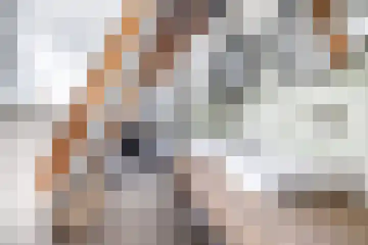 Dr. Batenburglaan 180 A Breda thumbnail 53