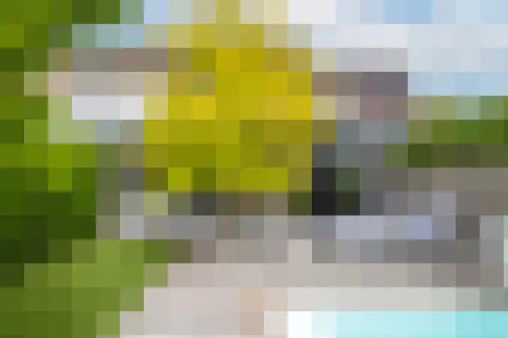Dr. Batenburglaan 180 A Breda thumbnail 58