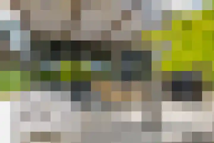 Dr. Batenburglaan 180 A Breda thumbnail 59