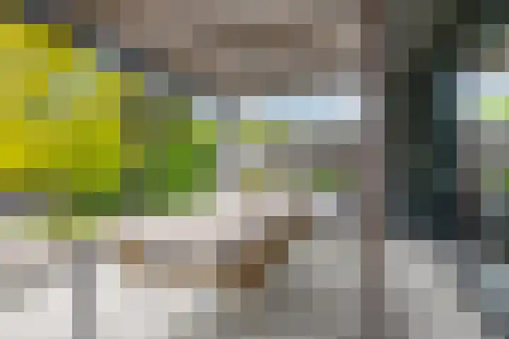 Dr. Batenburglaan 180 A Breda thumbnail 61