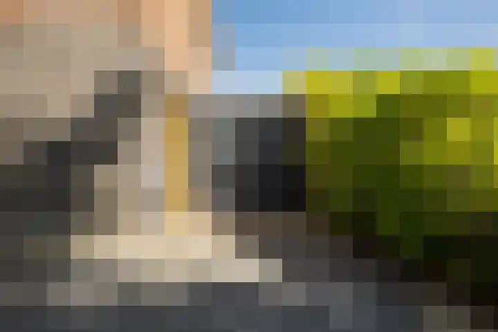 Dr. Bearda Bakkerstraat 11 Leeuwarden thumbnail 5