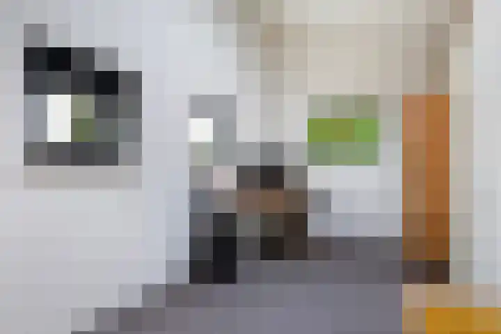 Dr. Bearda Bakkerstraat 5 Leeuwarden thumbnail 39
