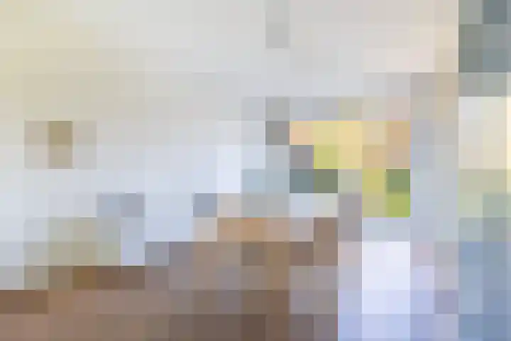 Dr Beguinlaan 62 Voorburg thumbnail 10