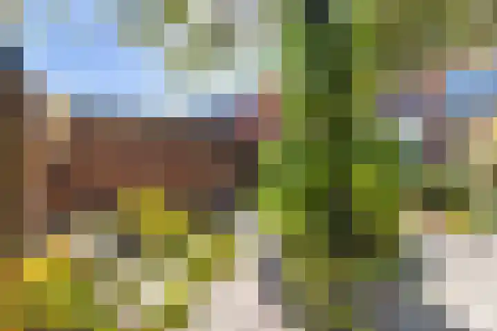 Dr Beguinlaan 62 Voorburg thumbnail 13