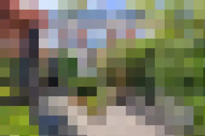 Dr Beguinlaan 62 Voorburg thumbnail 14