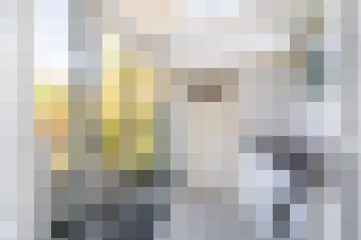Dr Beguinlaan 62 Voorburg thumbnail 17