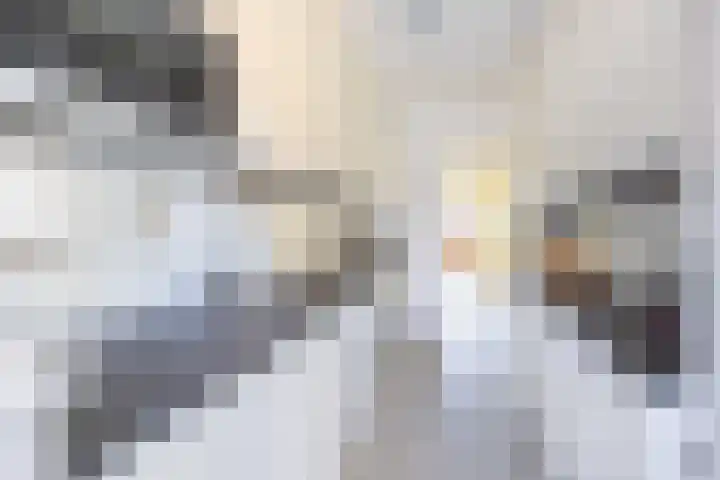 Dr Beguinlaan 62 Voorburg thumbnail 19